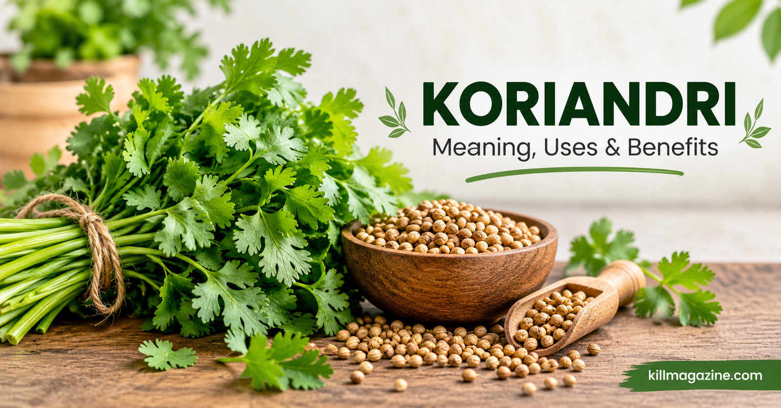 koriandri